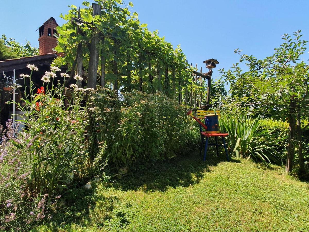 Ferienwohnung Hisa Korazija Rogaška Slatina Exterior foto